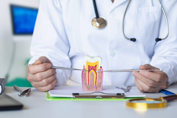 Best Emergency Treatment for Toothache in Trowbridge Park, MI